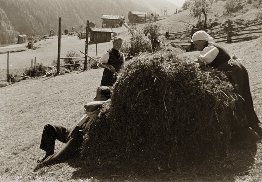 Jenshof (Rubisoier) in Arnig