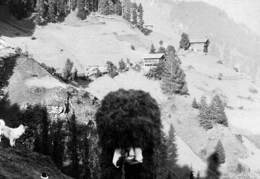 Heuernte im Ködnitztal