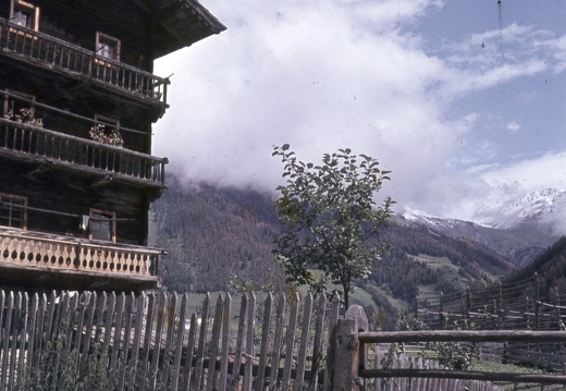 1956, Figerhof