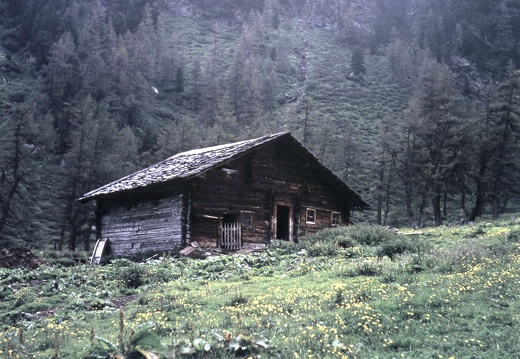1956, Alm im Dorfertal