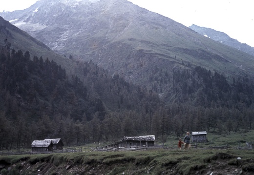 1956, Almen im Dorfertal