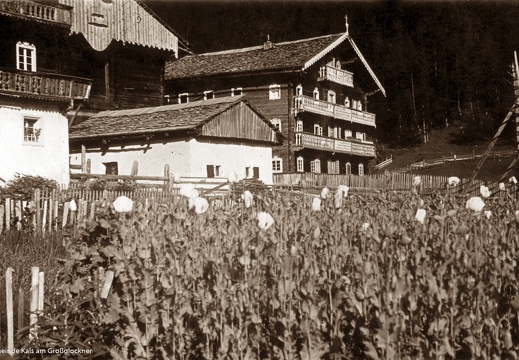 Mohnanbau im Burg