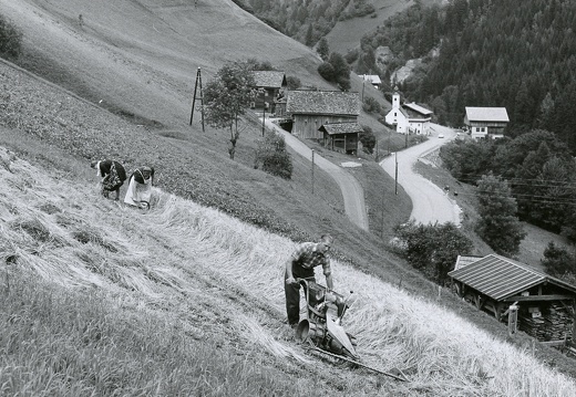 Loiphof in Staniska