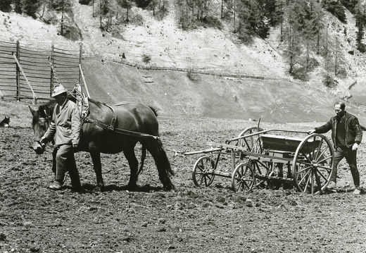 Feldarbeit Dorferfelder