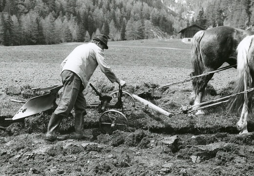 Feldarbeit Dorferfelder