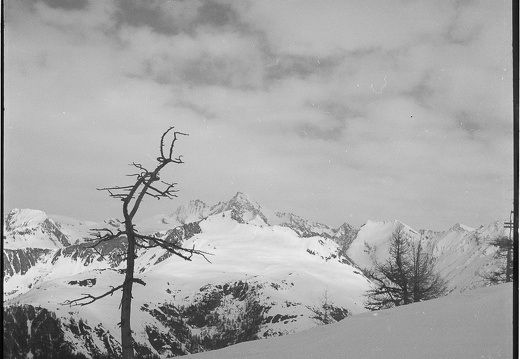 Großglockner