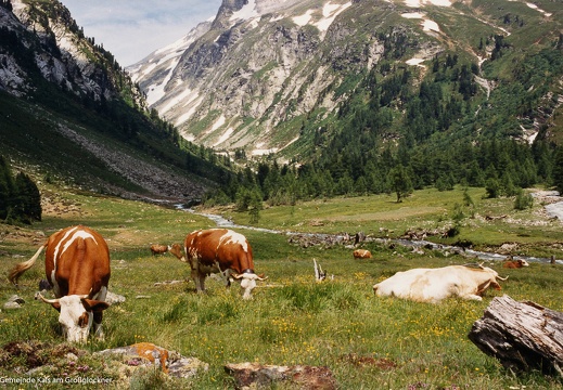 1987, in der Dorferalm