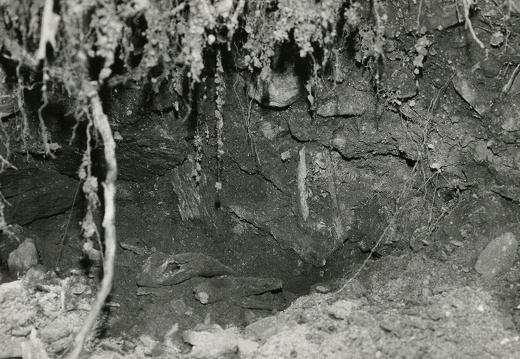 1975, Felsenkapelle Gradonna