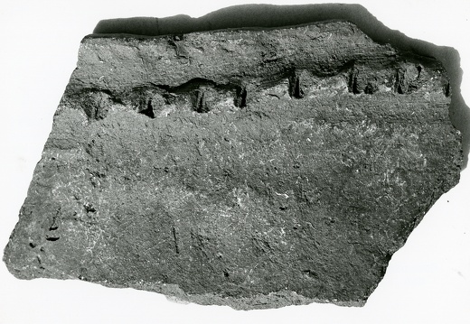 1975, Keramikfragment, 5. Jahrtausend v. Chr