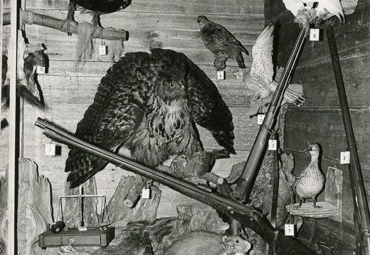 1978, Heimatmuseum Kals