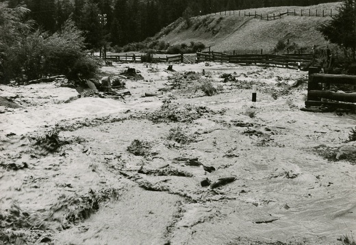 Hochwasser 1966, Lesacher Grieß