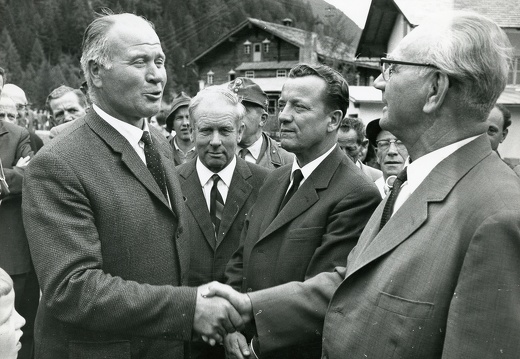 Hochwasser 1966, BP Franz Jonas