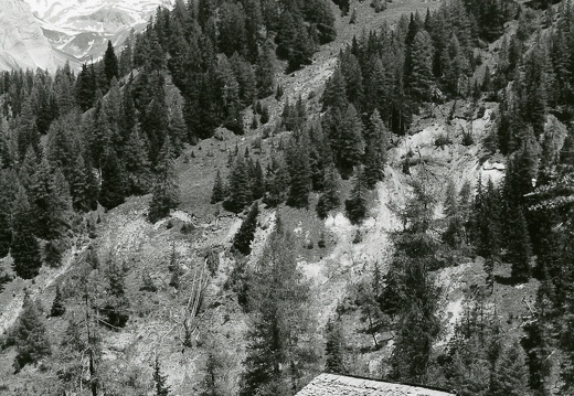 1975, Peischlacher Almen