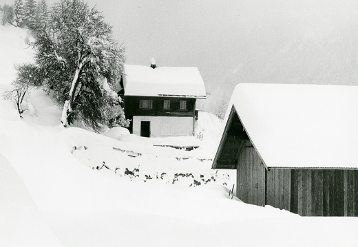 1988, Oberpeischlach