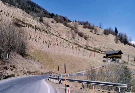 2003, Aufforstungen in Staniska