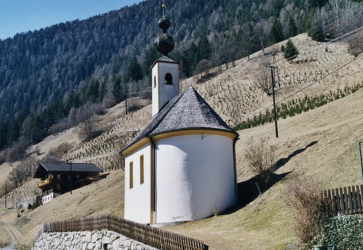 2003, Aufforstungen in Staniska