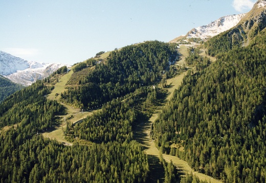 1999, Luftbild Walde