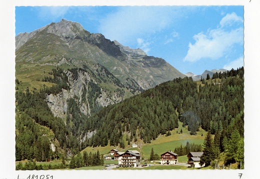 Burg-Taurer