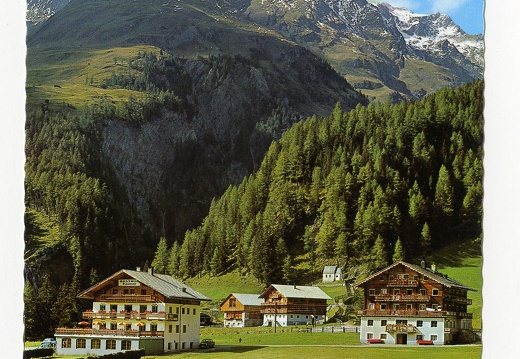 Burg-Taurer