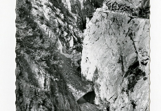 Dabaklamm