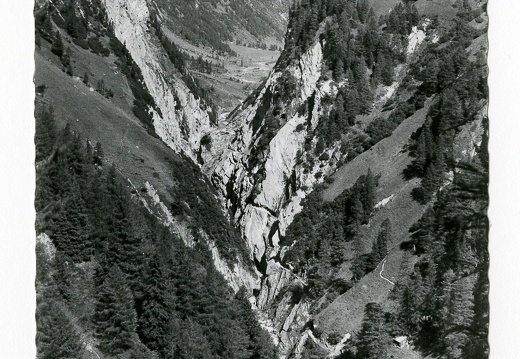 Dabaklamm