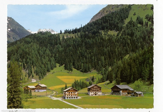 Burg-Taurer