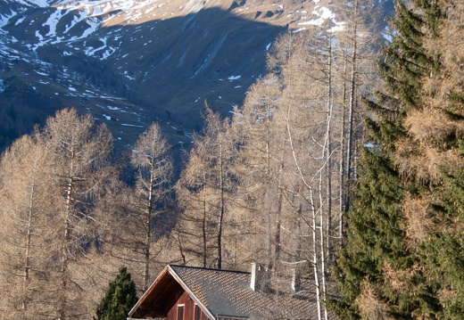 2006,  Doktorhaus (Pöll) Burg