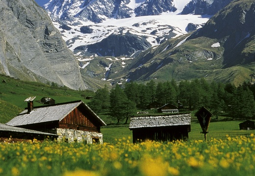 Großglockner