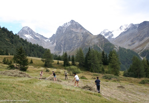 2006, Bergmahd Lesacher Berge