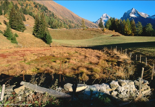 Jagglerlacke in der Lesachalm