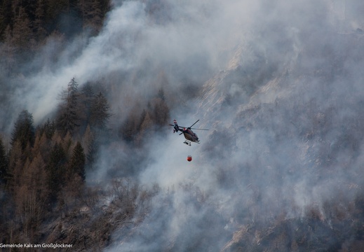 2010, Waldbarnd Lana