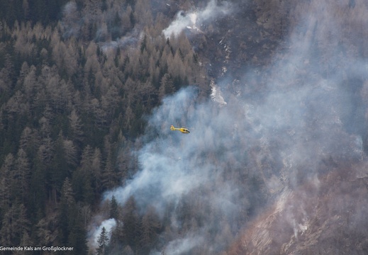 2010, Waldbarnd Lana