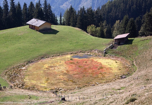 2011, Jaggerlacke