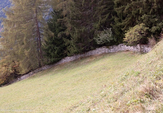 2013, Klaubsteinmauer Oberlesach