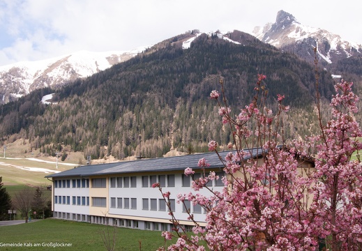 2014, Volks- und Hauptschule Kals