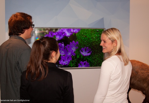 2014, Ausstellung Glocknerhaus
