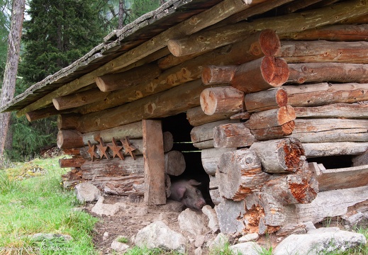 2015, Alme, Lesachalm