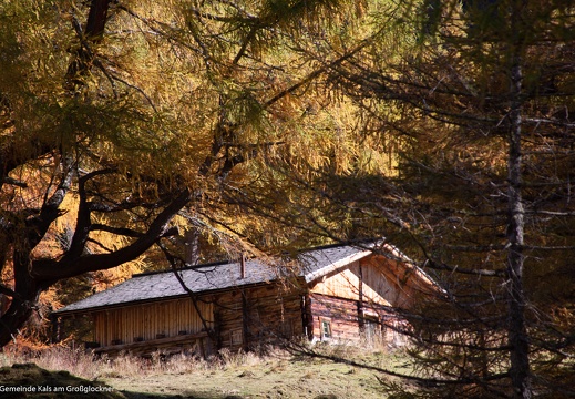 2015, Alm, Dorfertal