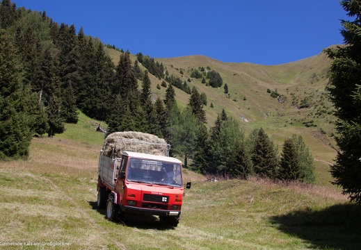 2016, Bergmahd, Lesach