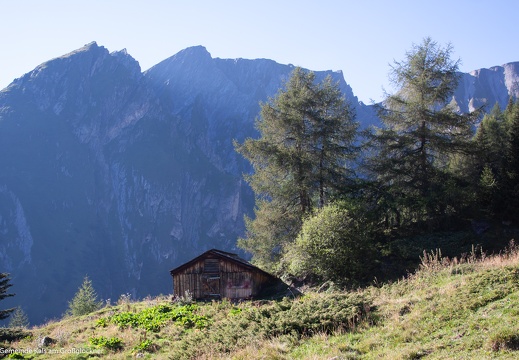 2016, Almwirtschaft, Glor-Berg