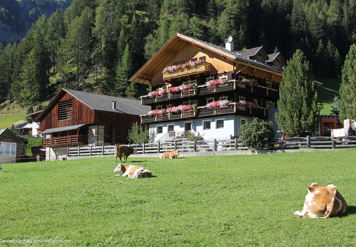 2016, Spöttlinghof Burg-Taurer