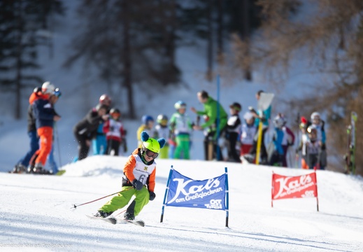 2019, Meisterschaften Schi alpin