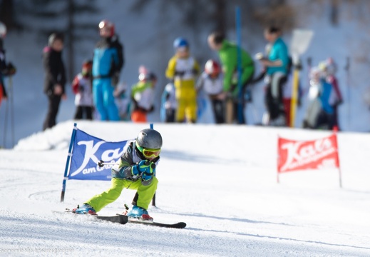 2019, Meisterschaften Schi alpin