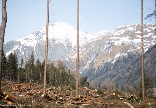 2019, Windwurf "Sturmtief Vaia"