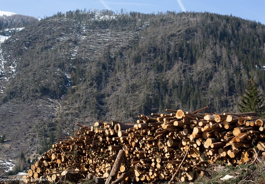 2019, Windwurf "Sturmtief Vaia"