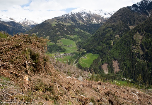 2019, Windwurf "Sturmtief Vaia"