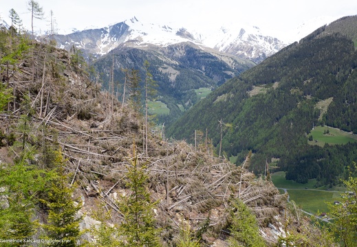 2019, Windwurf "Sturmtief Vaia"