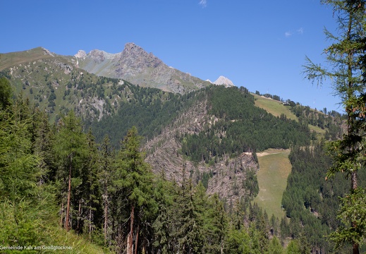 2019, Windwurf "Sturmtief Vaia"