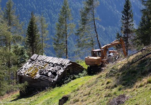 2019, Windwurf "Sturmtief Vaia"