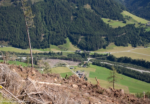 2019, Windwurf "Sturmtief Vaia"